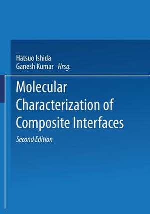 Molecular Characterization of Composite Interfaces de Adalbert von Rubinowicz