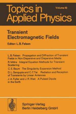 Transient Electromagnetic Fields de L.B. Felsen