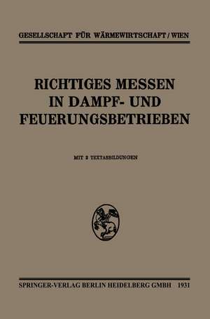 Richtiges Messen In Dampf- und Feuerungsbetrieben de Kenneth A. Loparo