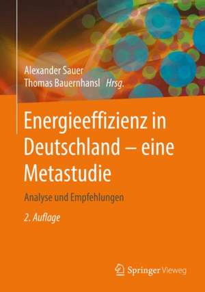 Energieeffizienz in Deutschland - eine Metastudie: Analyse und Empfehlungen de Alexander Sauer