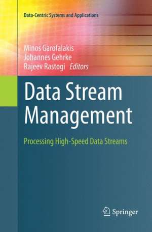 Data Stream Management: Processing High-Speed Data Streams de Minos Garofalakis