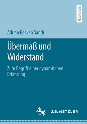 Übermaß und Widerstand: Zum Begriff einer dynamischen Erfahrung de Adrian Razvan Sandru