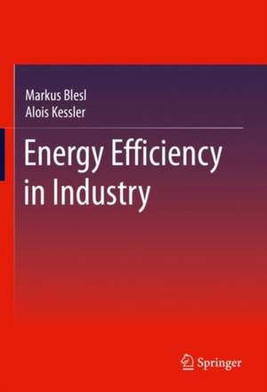 Energy Efficiency in Industry de Markus Blesl