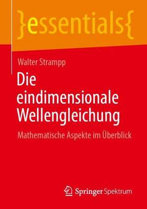 Die eindimensionale Wellengleichung: Mathematische Aspekte im Überblick de Walter Strampp