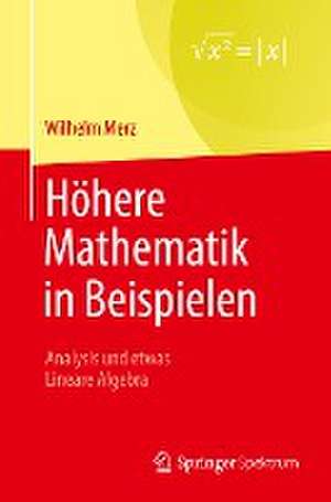 Höhere Mathematik in Beispielen: Analysis und etwas Lineare Algebra de Wilhelm Merz