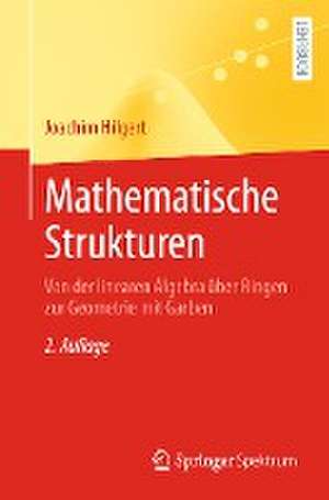 Mathematische Strukturen: Von der linearen Algebra über Ringen zur Geometrie mit Garben de Joachim Hilgert