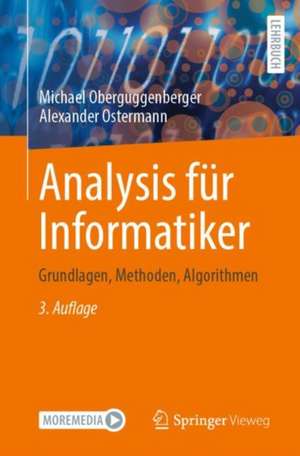 Analysis für Informatiker de Michael Oberguggenberger