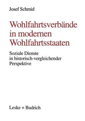 Wohlfahrtsverbände in modernen Wohlfahrtsstaaten: Soziale Dienste in historisch-vergleichender Perspektive de Josef Schmid