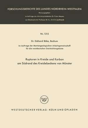 Rupturen in Kreide und Karbon am Südrand des Kreidebeckens von Münster de Eckhard Böke