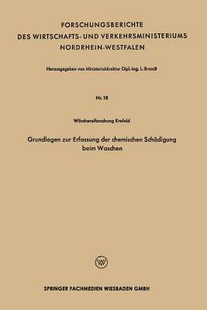 Grundlagen zur Erfassung der chemischen Schädigung beim Waschen de Leo Brandt