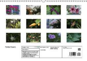 Florida-Flowers (Wandkalender 2016 DIN A3 quer) de k. A. Satellit