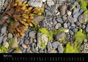 Strand-Art (Wandkalender 2016 DIN A3 quer) de Samuel Schmid