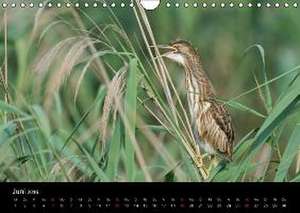 Vienna Wildlife 2016 (Wandkalender 2016 DIN A4 quer) de Vienna Wildlife/Karl Leitner Photography