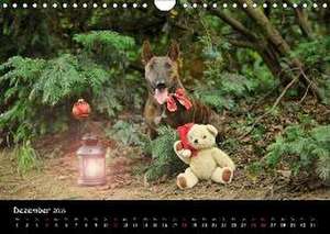 Bullterrier? Was sonst! (Wandkalender 2016 DIN A4 quer) de Yvonne Janetzek