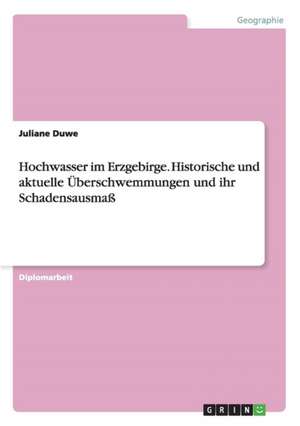 Hochwasser im Erzgebirge. Historische und aktuelle Überschwemmungen und ihr Schadensausmaß de Juliane Duwe