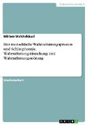 Der menschliche Wahrnehmungsprozess und Schizophrenie. Wahrnehmungstäuschung und Wahrnehmungsstörung de Miriam Walchshäusl