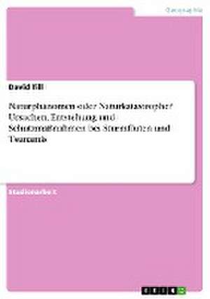 Naturphänomen oder Naturkatastrophe? Ursachen, Entstehung und Schutzmaßnahmen bei Sturmfluten und Tsunamis de David Till