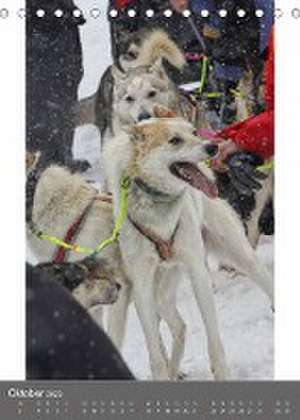 Brunner Klaus, L: Huskies - Portraits im Schnee (Tischkalend