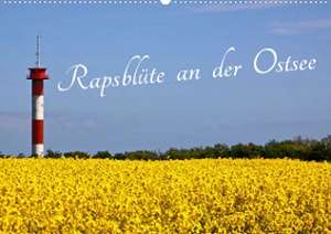 Rapsblüte an der Ostsee (Wandkalender 2023 DIN A2 quer) de Ro BRA - Rolf Braun Ostseefotograf