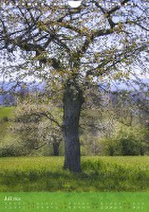 Klimaretter Baum (Wandkalender 2024 DIN A4 hoch), CALVENDO Monatskalender de Christine Wirges