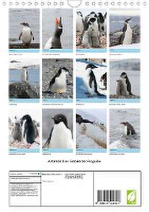 Antarktis - Das Gebiet der Pinguine (Wandkalender 2024 DIN A4 hoch), CALVENDO Monatskalender de Alain Gaymard