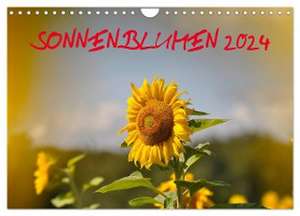 Sonnenblumen 2024 (Wandkalender 2024 DIN A4 quer), CALVENDO Monatskalender de Bildagentur Geduldig