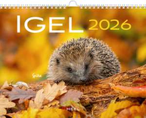 Kalender Igel 2026 Eintragkalender