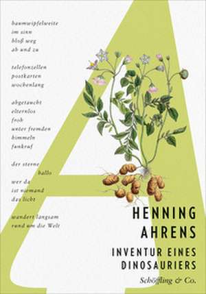 Inventur eines Dinosauriers de Henning Ahrens