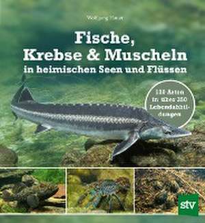 Fische, Krebse & Muscheln in heimischen Seen und Flüssen de Wolfgang Hauer