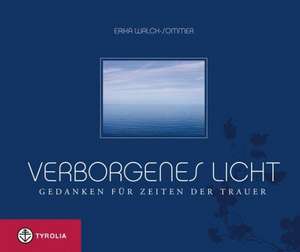 Verborgenes Licht de Erika Walch-Sommer