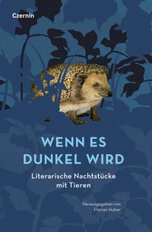 Wenn es dunkel wird de Florian Huber