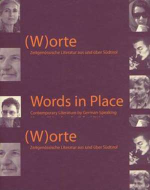 Words in Place: Contemporary Literature in South Tyrol de Sigrun Wildner