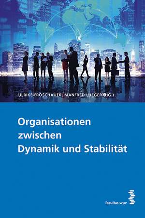 Organisationen zwischen Dynamik und Stabilität de Ulrike Froschauer