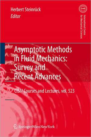 Asymptotic Methods in Fluid Mechanics: Survey and Recent Advances de Herbert Steinrück