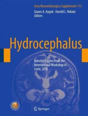 Hydrocephalus: Selected Papers from the International Workshop in Crete, 2010 de Gunes A. Aygok