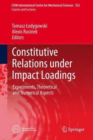 Constitutive Relations under Impact Loadings: Experiments, Theoretical and Numerical Aspects de Tomasz Lodygowski