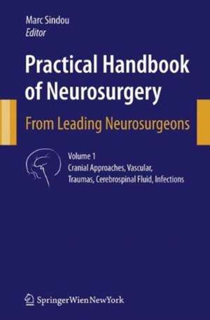 Practical Handbook of Neurosurgery: From Leading Neurosurgeons de Marc Sindou