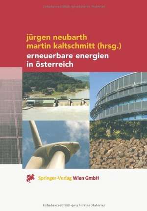 Erneuerbare Energien in Österreich: Systemtechnik, Potenziale, Wirtschaftlichkeit, Umweltaspekte de Jürgen Neubarth