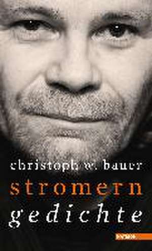 stromern de Christoph W. Bauer