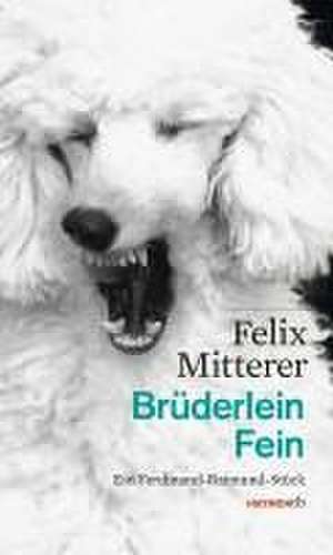 Brüderlein Fein de Felix Mitterer