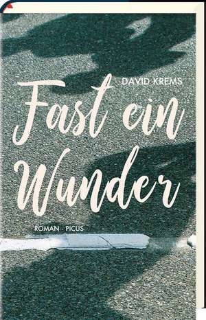 Fast ein Wunder de David Krems