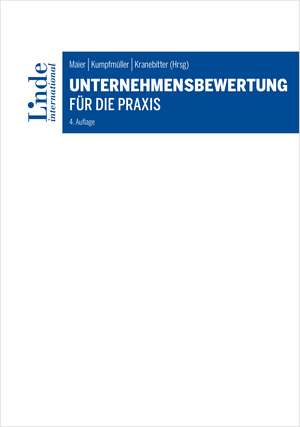 Unternehmensbewertung für die Praxis de David Maier