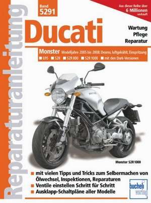 Ducati Monster de F. J. Schermer