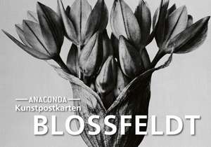 Postkarten-Set Blossfeldt de Karl Blossfeldt