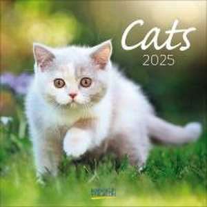 Cats 2025 de Verlag Korsch