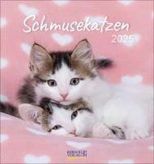 Schmusekatzen 2025 de Verlag Korsch