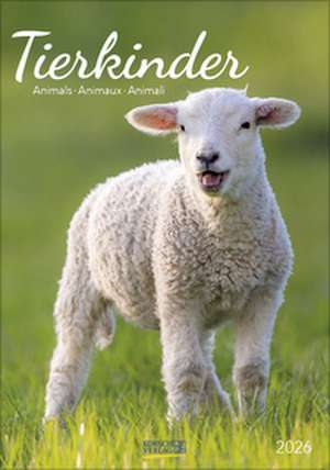 Tierkinder 2026 de Verlag Korsch