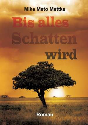 Bis Alles Schatten Wird: Hamburg - Schanghai - Hamburg de Mike Meto Mettke