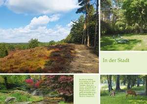 Waldpfade Hamburg de Volko Lienhardt