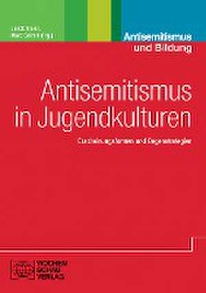 Antisemitismus in Jugendkulturen de Jakob Baier